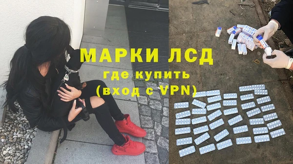 трава Аркадак