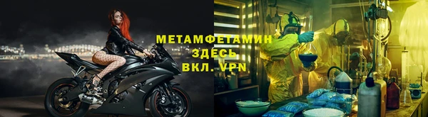 трава Аркадак