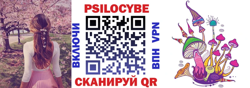 darknet состав  ОМГ ОМГ вход  Приволжск  где можно купить наркотик  Псилоцибиновые грибы мухоморы 