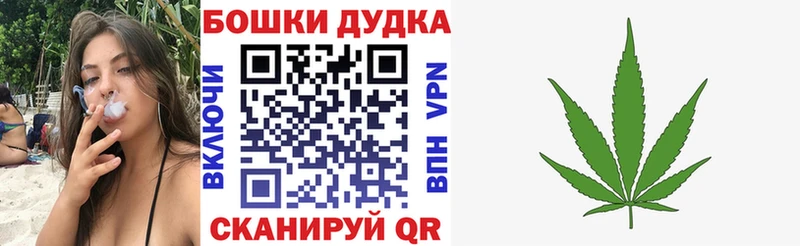 Бошки Шишки гибрид  как найти закладки  Приволжск 
